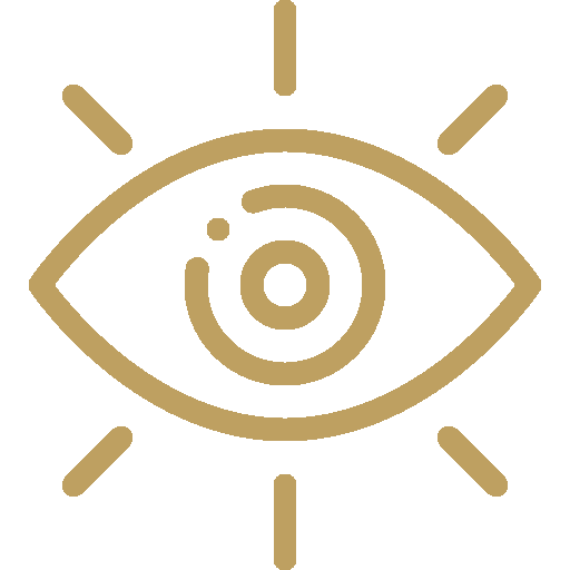 Vision Icon