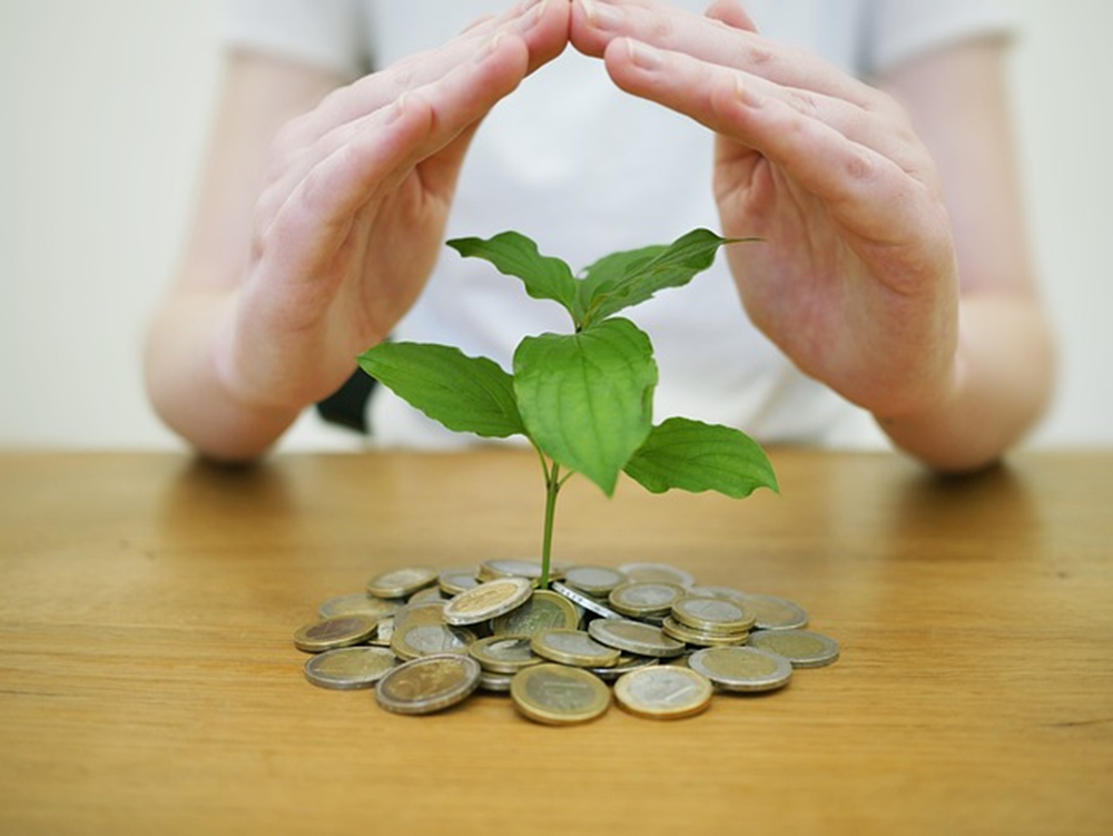 Wealth Protection Solutions